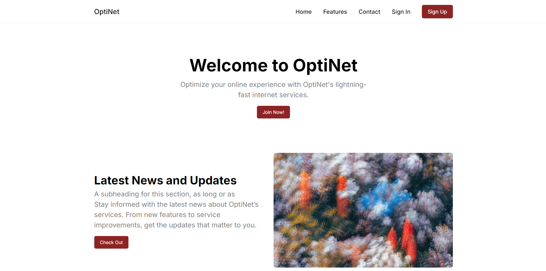 OPTINET ISP Services